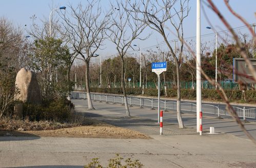 交通設(shè)施改造 道路沿線景觀提升 浦東這個(gè)鎮(zhèn)民生實(shí)事項(xiàng)目