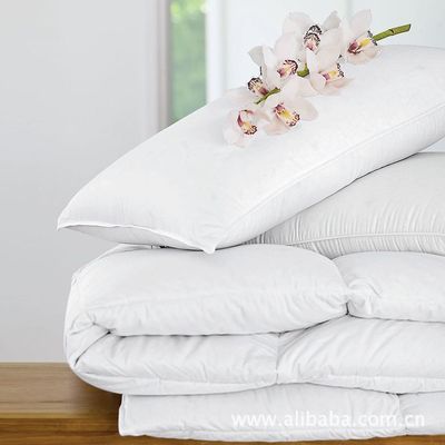 【歌登飛 白色羽絨枕芯 保暖性強,透氣性好.】價格,廠家,圖片,枕頭、枕芯、保健枕,深圳市三鴻羽絨制品(銷售部)-